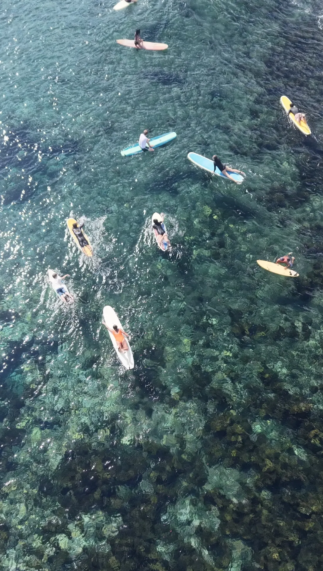 Lineup seen from the drone